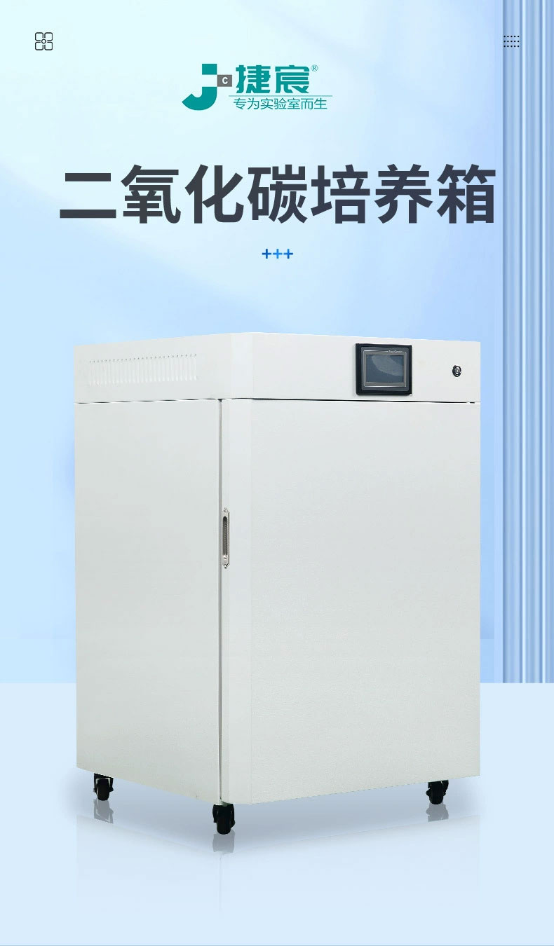 真空干燥箱 真空干燥箱