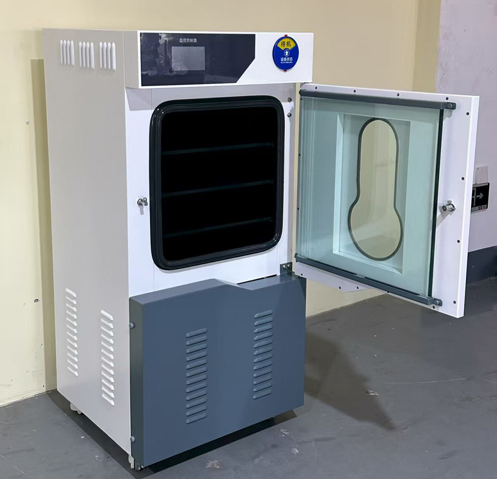 DZF-6210立式真空干燥箱(210L)