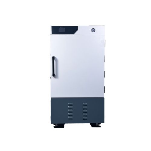 DZF-6380立式真空干燥箱（380L）