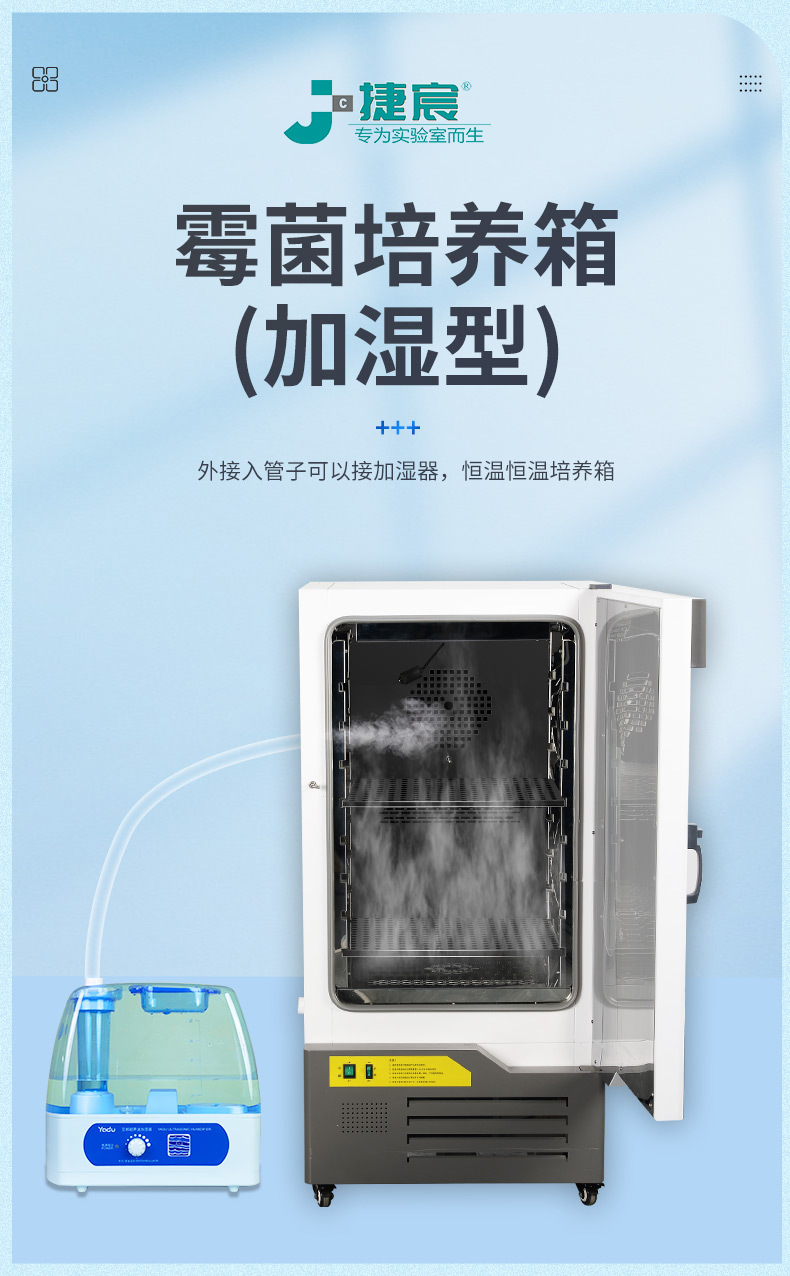 真空干燥箱 霉菌培养箱